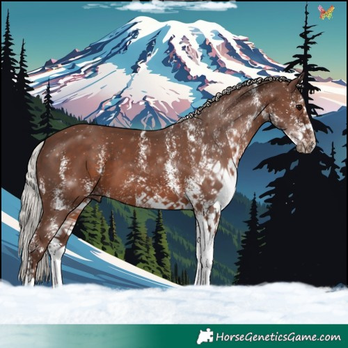 Horse Color:White Spotted Silver Black 