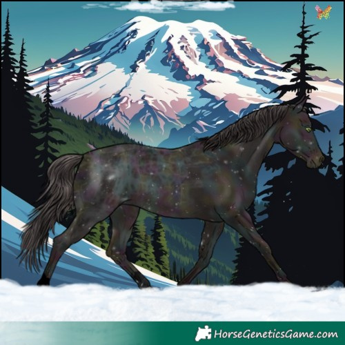 Horse Color:Void Platinum Midnight Sable Champagne Ice 