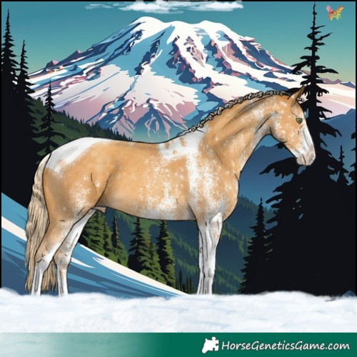 Horse Color:White Spotted Gold Cream Champagne Tobiano 