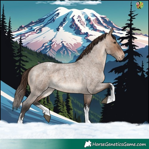 Horse Color:White Spotted Brown Roan Dun Appaloosa 