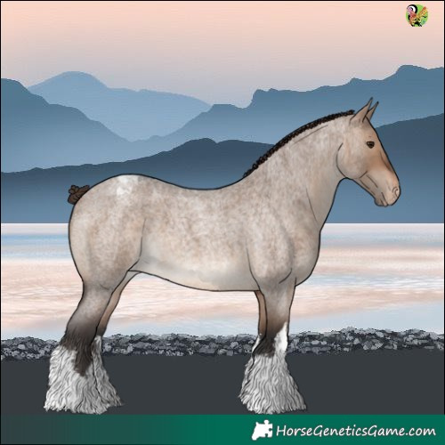 Horse Color:White Spotted Brown Roan Dun Blanket 