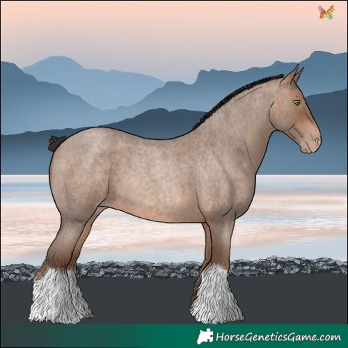 Horse Color:Sable Champagne Roan 