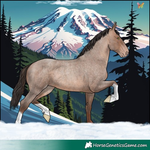 Horse Color:Sable Champagne Roan 