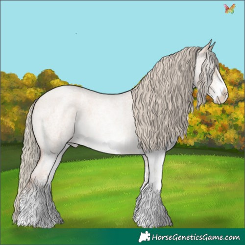 Horse Color:White Spotted Gold Champagne Roan Dun Mushroom Appaloosa 