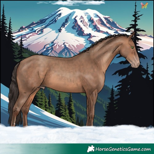 Horse Color:Sable Champagne 