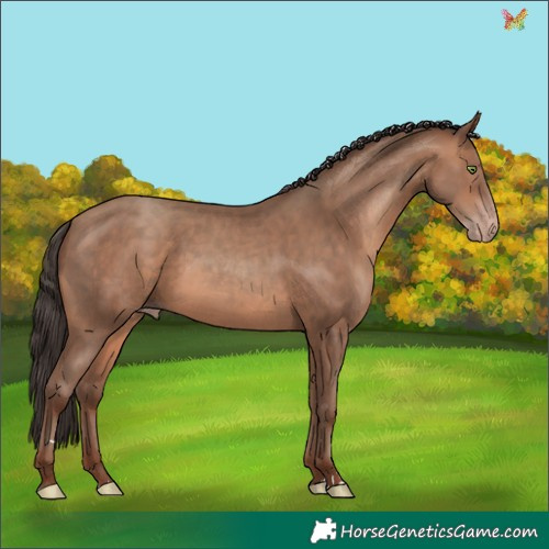 Horse Color:Sable Champagne 