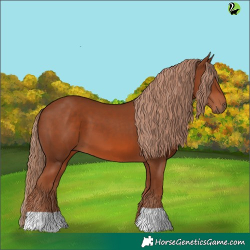 Horse Color:Chestnut 
