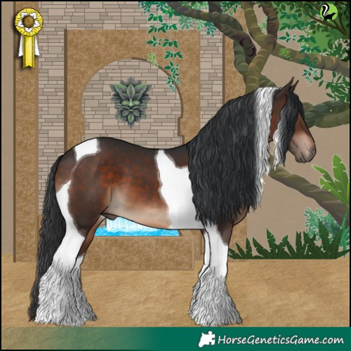 Horse Color:Brown Tobiano 