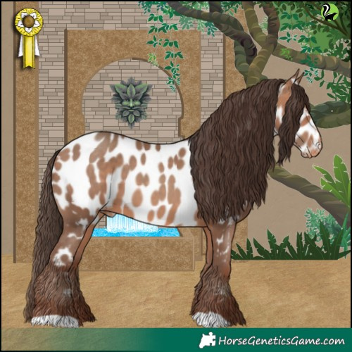 Horse Color:Sable Champagne Appaloosa 