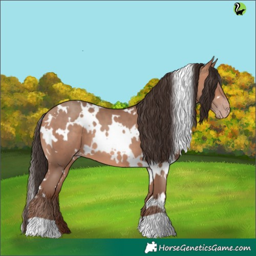 Horse Color:White Spotted Amber Champagne 