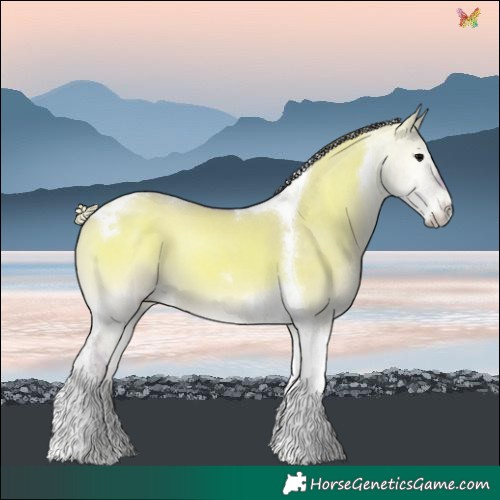 Horse Color:Watercolor Silver Grullo Onyx Tobiano 