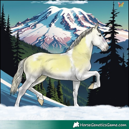 Horse Color:Watercolor Silver Grullo Onyx Tobiano 