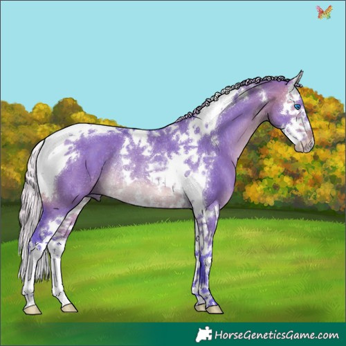 Horse Color:Watercolor Silver Brown Dun Splash Tobiano Rabicano 