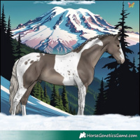 Horse Color:Silver Black Tobiano