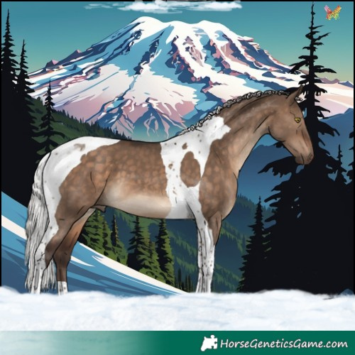 Horse Color:Silver Brown Dun Tobiano 