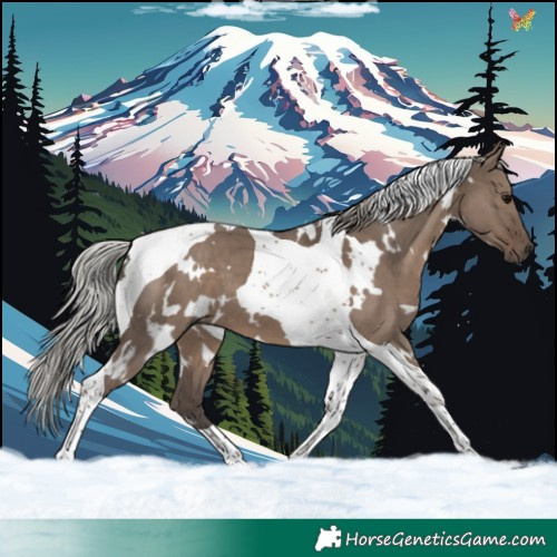 Horse Color:White Spotted Silver Grullo Tobiano 