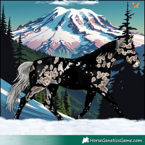 Horse Color:Silver Brown Dun Tobiano Leopard Rabicano Brindle 