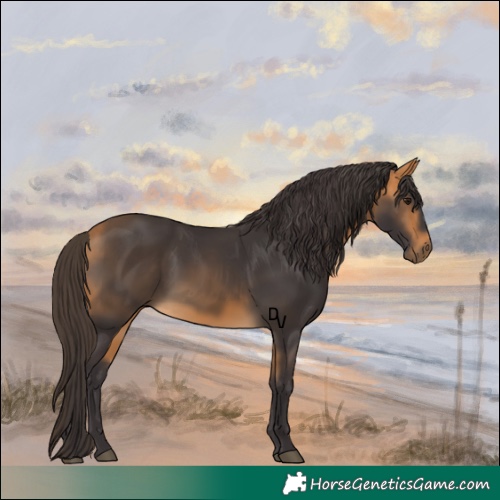 Horse Color:Buckskin 