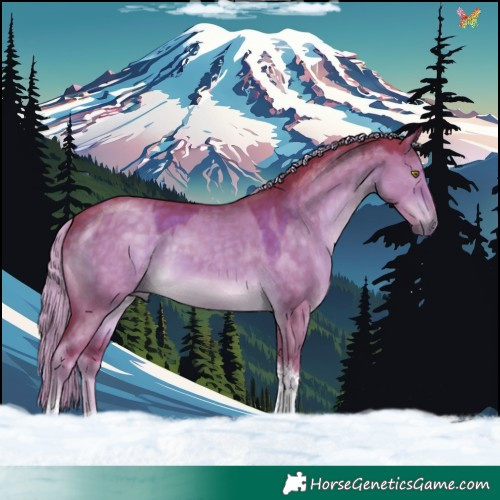 Horse Color:Watercolor Chocolate Palomino Dun Tobiano 