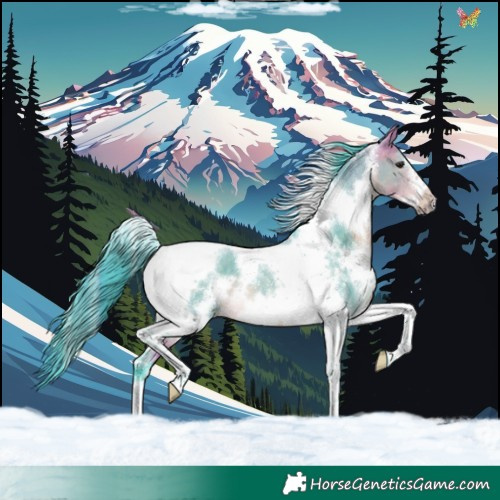 Horse Color:Watercolor White Spotted Buckskin Dun Tobiano Frame Rabicano 