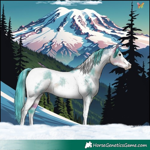 Horse Color:Watercolor White Spotted Buckskin Dun Tobiano Frame Rabicano 