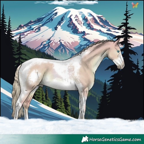 Horse Color:Watercolor Liver Red Dun Tobiano Frame Rabicano 