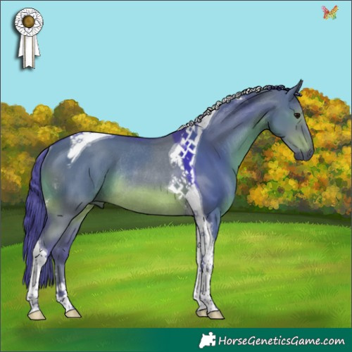 Horse Color:Watercolor Grullo Tobiano Rabicano 