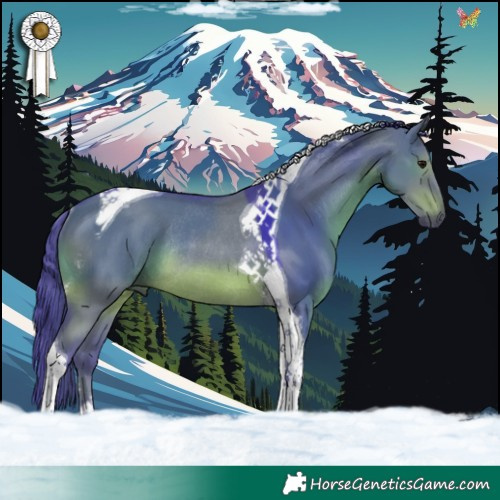 Horse Color:Watercolor Grullo Tobiano Rabicano 