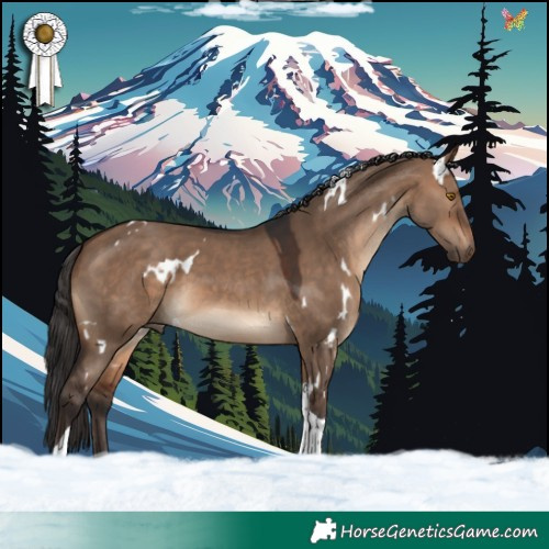 Horse Color:White Spotted Brown Dun Tobiano 