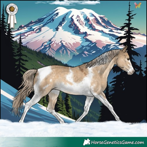 Horse Color:Chocolate Palomino Dun Tobiano Frame 