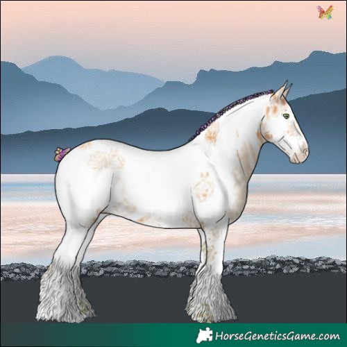 Horse Color:Painted Watercolor Gold Champagne Ice Tobiano Frame 