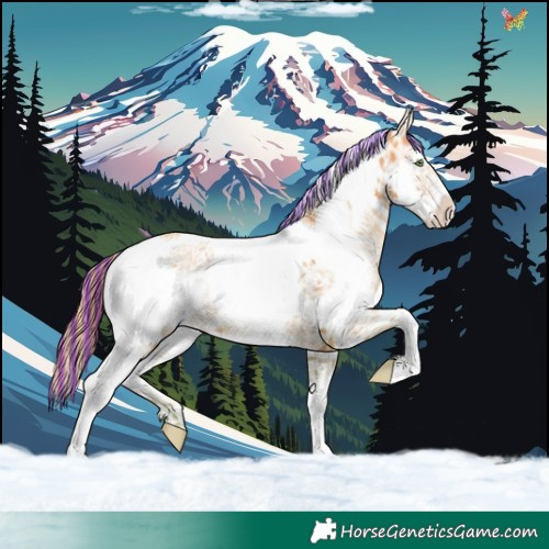Horse Color:Painted Watercolor Gold Champagne Ice Tobiano Frame 