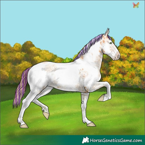 Horse Color:Painted Watercolor Gold Champagne Ice Tobiano Frame