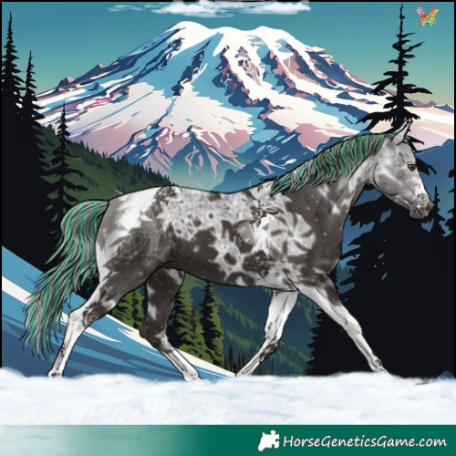 Horse Color:Painted Liver Chestnut Ice Mushroom Tobiano 