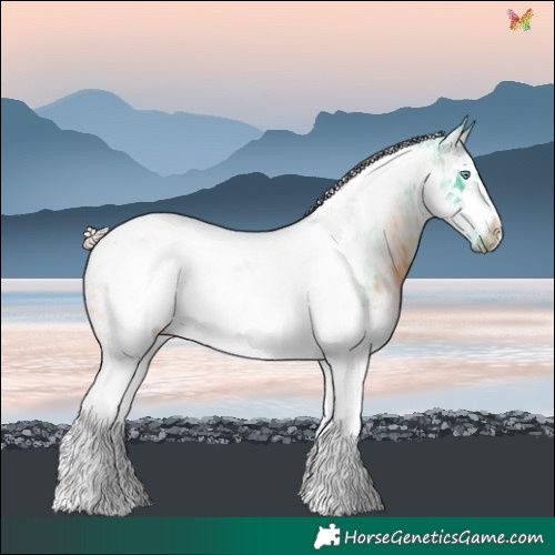 Horse Color:Watercolor Brown Ice Splash Tobiano Frame 