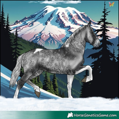 Horse Color:Silver Blue Onyx Chinchilla Ice Tobiano 