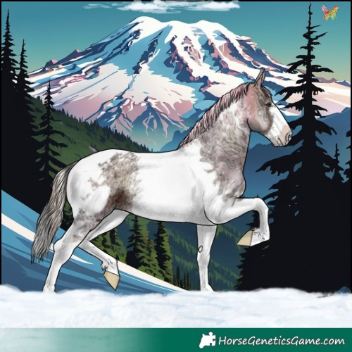 Horse Color:Liver Red Onyx Ice Tobiano Frame 