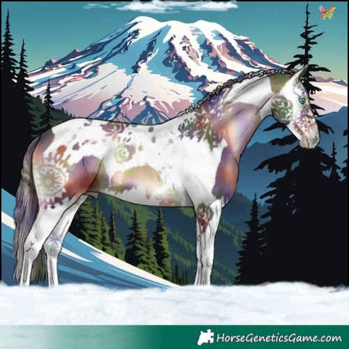 Horse Color:Nacre Brown Onyx Splash Tobiano 