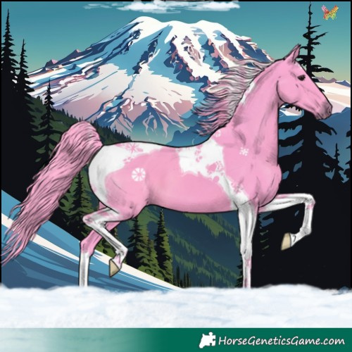 Horse Color:Watercolor Black Tobiano 