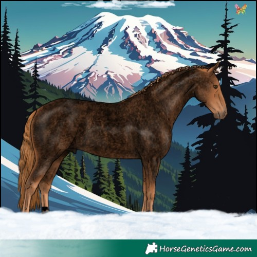 Horse Color:Void Red Roan 