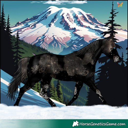 Horse Color:Void Blue Onyx Roan Splash Tobiano 