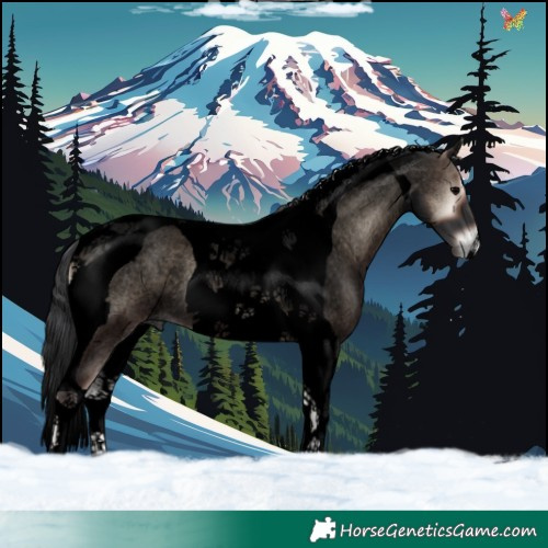 Horse Color:Void Blue Onyx Roan Tobiano 