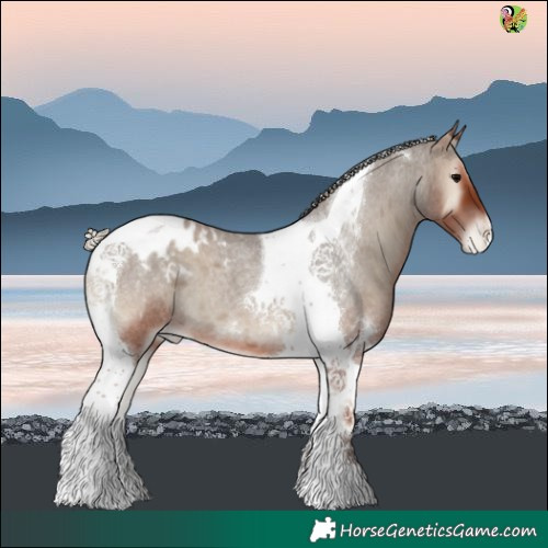 Horse Color:Silver Blue Onyx Roan Tobiano Blanket 