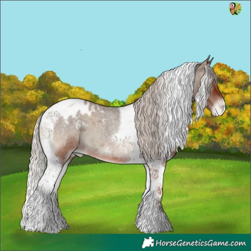 Horse Color:Silver Blue Onyx Roan Tobiano Appaloosa 