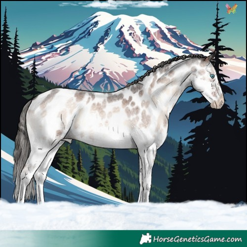 Horse Color:Liver Red Onyx Roan Splash Near Leopard 