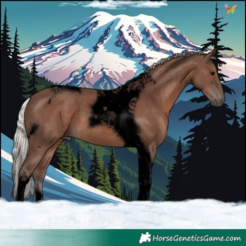Horse Color:Void Silver Black Tobiano 