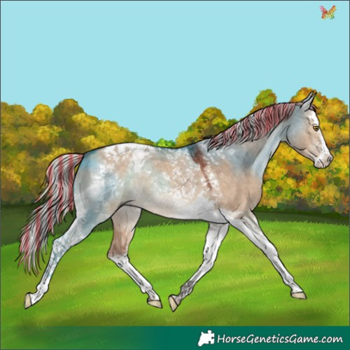 Horse Color:Painted Silver Brown Dun Splash Tobiano 