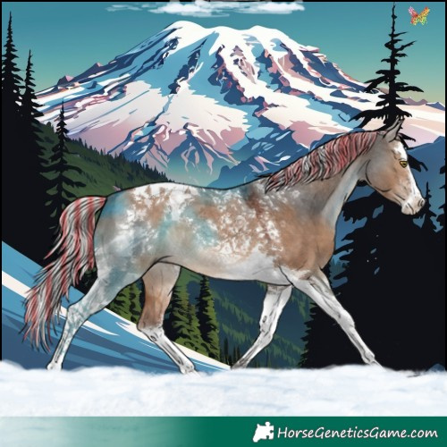 Horse Color:Painted Silver Brown Dun Splash Tobiano 