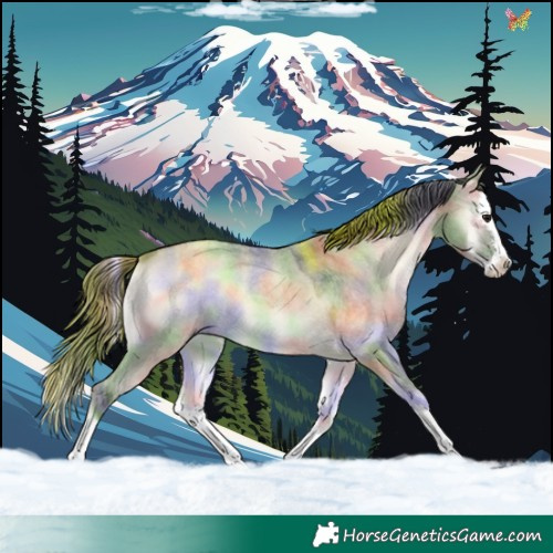 Horse Color:Nacre Brown Roan Onyx Splash 