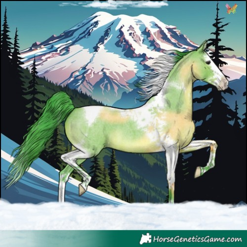 Horse Color:Watercolor Grullo Roan Splash Tobiano 